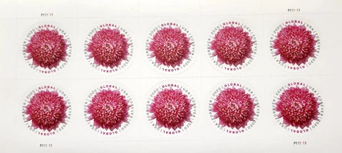 Pink Chrysanthemum Global Forever International Mail Stamp Sheet (10 Stamps) Cover