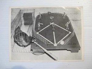 1955 POSTCARD: CASEY THE HOMER HITTING HEN AT THE KENTUCKIANA HOME SHOW. - Picture 1 of 2