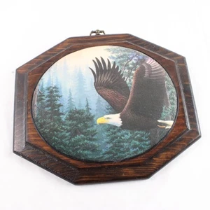 1970er American Weißkopfseeadler 3D Resin Kuppel Kunst auf schwerer Massivholz Plakette - Bild 1 von 5