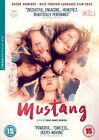 Mustang (DVD) Günes Sensoy Doga Zeynep Doguslu Tugba Sunguroglu