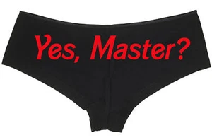 JA MASTER Daddy? ddlg bdsm gehorsam unterwürfig Boyshort Unterwäsche sexy Höschen - Bild 1 von 23