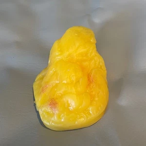 Small Hanging Display 5" Fat Anatomical Model Replica – Human Body for Education - Picture 1 of 3