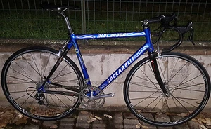 Road Bike Alu-Carbon Saccarelli Campagnolo Record Titanium 10S Ursus - Picture 1 of 1