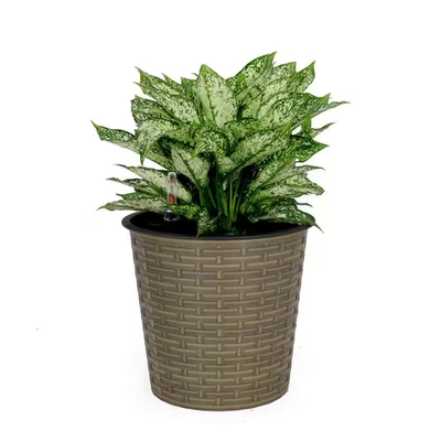 Medium 10 In. Self-Watering Wicker Decor Planter with Water Level Indicator for - Image 1 of 4