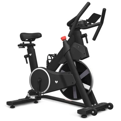 Lifespan Fitness SM-420 Spin Bike with Automatic Magnetic Resistance - image 1 of 4