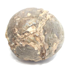 Fósil Desconocido Posiblemente Piedra Dragón, Nódulo, Huevo Fosilizado o? - Imagen 1 de 8