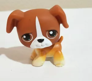 ❤️ Littlest Pet Shop BRAUN BOXER HUND LPS SELTEN 2004 fast perfekt roter Magnet ❤️ - Bild 1 von 3