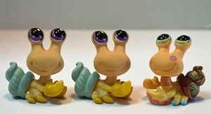 Littlest Pet Shop 3 Hermit Crabs includes LPS #1008 Southwest Shell Tattoo - Picture 1 of 6