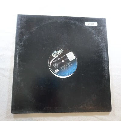 Dead Or Alive Something In My House PROMO SINGLE Vinyl Record Album - Image 1 of 4