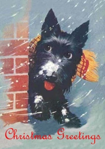 SCOTTISH TERRIER IN SNOW SCOTTIE DOG SINGLE DOG PRINT GREETING CHRISTMAS CARD - Picture 1 of 1