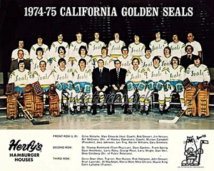 NHL 1974 - 75 California Golden Seal Equipo Foto Color 8 X 10 Foto Imagen - Imagen 1 de 1