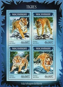 Tigers Stamp Panthera Tigris Altaica Souvenir Sheet MNH #7375-7378 - Picture 1 of 12