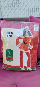 Christmas Holiday Honey Adult Womens Costume adult  Sz Small 2-4 - Picture 1 of 4