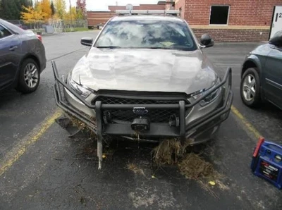 Driver Tail Light With Police Package Lid Mounted Fits 13-19 TAURUS 3373344 Foto 1 de 4