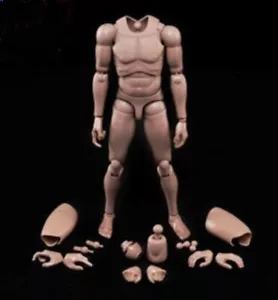Figura de acción masculina MX02-A 12 pulgadas de piel europea cuerpo apto para juguetes de escultura de cabeza de 1/6 - Imagen 1 de 9