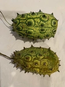 10 Kiwano African horned cucumber Seeds - Picture 1 of 2