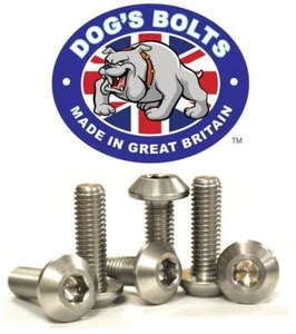 Yamaha XJR1300 / SP 03-13 Stainless Steel Rear Brake Disc Bolt Kit - Picture 1 of 1