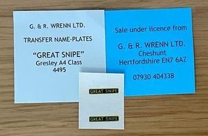 WRENN & Hornby Dublo Gresley A4 Transfer name plates "GREAT SNIPE" W2209A + M2 - Foto 1 di 1
