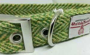 Grün Fischgrät Hundehalsband & Leine Set verschiedene Größen HARRIS TWEED - Bild 1 von 4