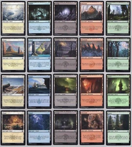 AFR - 1x Complete 20 Card Basic Land Set - Near Mint - Imagen 1 de 1