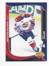 2013-14 Moncton Wildcats (QMJHL) Reid Halabi (Idaho Steelheads)