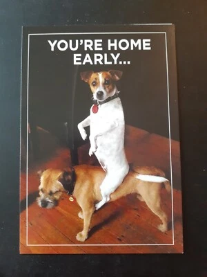 Funny Birthday Card - Image 1 of 4