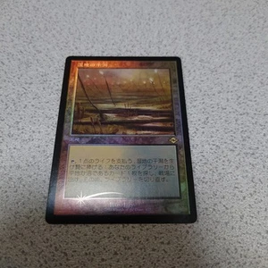 Mtg Mh2 Wetland Tidal Flats Japanesefoil Single Piece Draft Set Booster Version - Picture 1 of 4