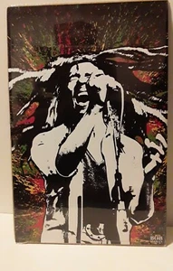 Bob Marley Concert Performance w/Color Theme17x11"Art Lithograph Print*No Frame* - Picture 1 of 5