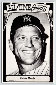 MICKEY MANTLE ~ 1973-79 TCMA All-Time Greats - Estadísticas postales ~ Yankees Salón de la fama - Imagen 1 de 2