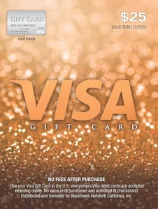 🎁 25 $ Visa Geschenkkarte 💳 Keine Gebühren 🚀 Schneller Versand - Bild 1 von 2