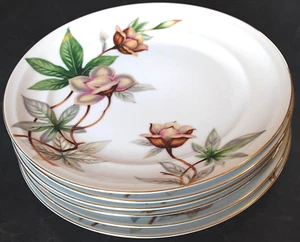 Rare MEITO 'WOODROSE' Vtg Set 6 DINNER PLATES 10.25" Fine China Gold Trim JAPAN - Picture 1 of 12