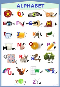 THE ALPHABET WITH PICTURES FOR KIDS - 4 LOWER PARTS OF THE FRIDGE PHOTO MAGNET - Picture 1 of 3