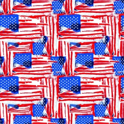 Banderas pintadas HAV-A-HANK 22"x22" hechas en EE. UU. con caja de regalo Foto 1 de 4