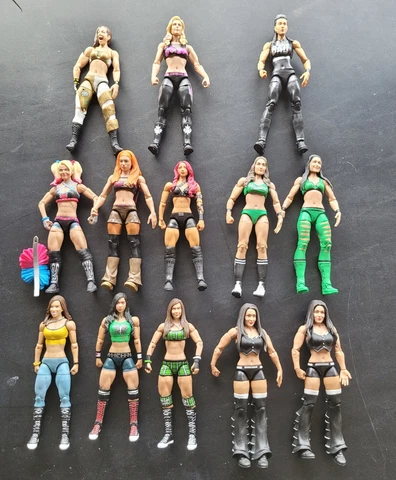 WWE Mattel Lot of 13 AJ Lee Bella Twins Sasha Banks Becky Lynch Alexa Cover