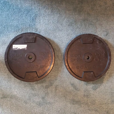 2 poids de 20 kg domyos - Photo 1/2