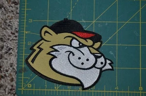 Tri-City ValleyCats Throwback MiLB Minor League 3.75" Baseball Jersey Patch - Picture 1 of 1