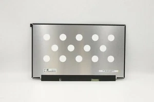 Legion Y7000 2019 144Hz FHD IPS DISPLAY SCREEN PANEL  LENOVO 5D10T70805 - Picture 1 of 3