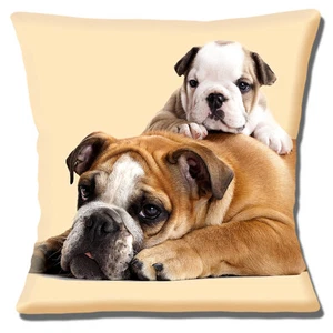 ENGLISH BULLDOG Adult CUTE PUPPY 'Having a Rest' CREAM 16" Pillow Cushion Cover - Picture 1 of 3