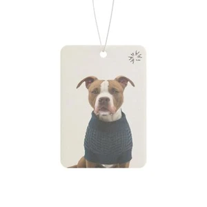Sweater Dog Car Air Freshener, Cute Pit Bull Car Fragrance, by TokyoBill - Picture 1 of 5