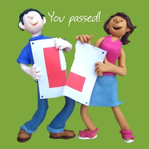 SIE HABEN DIE FAHRPRÜFUNG BESTANDEN LERNER Glückwunsch zur bestandenen Fahrt L Kennzeichenkarte - Bild 1 von 2