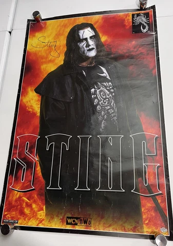 Sting 1999 Poster 22x34” WCW Champion WWE WWF Wrestling Wrestler N.W.O. rare Cover