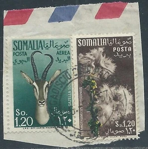 SOMALIA AFIS FRAMMENTO FIORI 1,20 S + POSTA AEREA ANIMALI 1,20 S - RD52-6 - Imagen 1 de 1