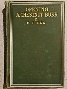1874, 1902 Copyright ~ OPENING A CHESTNUT BURR by Rev. E. P. Roe vintage fiction - Imagen 1 de 9