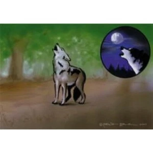 Plantilla Coyote 262 502 - Imagen 1 de 1