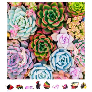 Wooden Jigsaw Puzzle for Adults by ZenChalet - 500 Pieces - Succulent Sensation - Picture 1 of 7