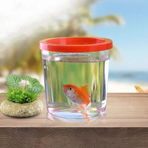 Kunststoff Mini Kampf Fisch Tank tragbare Farben Fisch Box für kleines Haustier - Bild 1 von 11