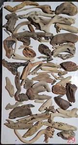 Driftwood Pieces Craft Aquarium Decor - Picture 1 of 2
