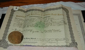 1907 Importers Breeders of Belgian Draft Horses Certificate Registry Pedigree - Picture 1 of 11