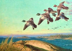 Dwayne Harty - Canada Duck Stamp Print 1996 - S/N Lithograph - MINT - Foto 1 di 1