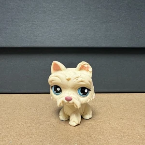 SCOTTIE DOG #1598 - Autentico negozio di animali più piccoli - Hasbro LPS - Foto 1 di 2